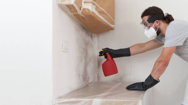 Professional Crawl Space Mold Remediation technician working in Windsor, NC